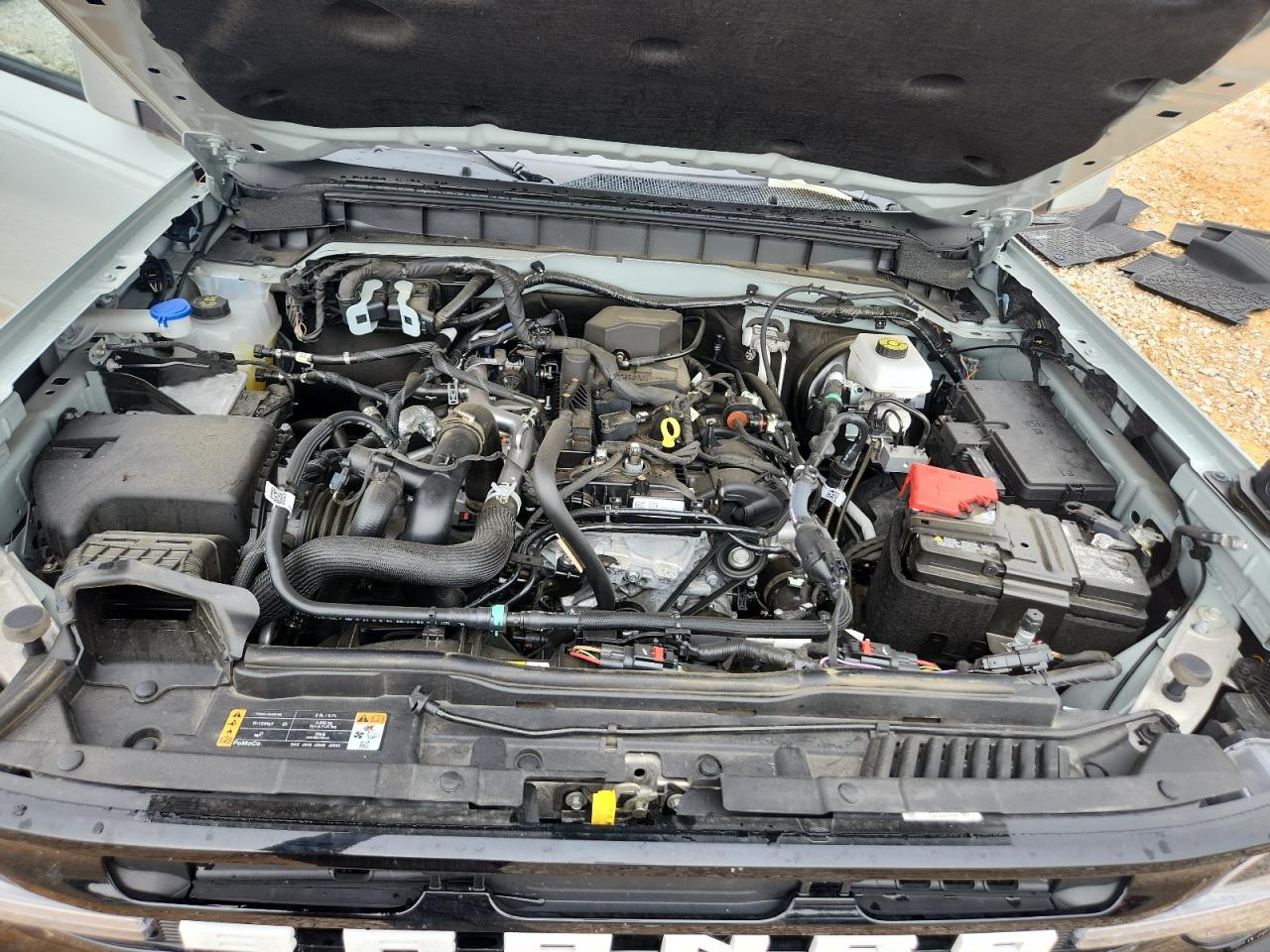 2024 Ford Bronco Outer Banks VIN: 1FMDE8BH0RLB52565 Lot: 67554925