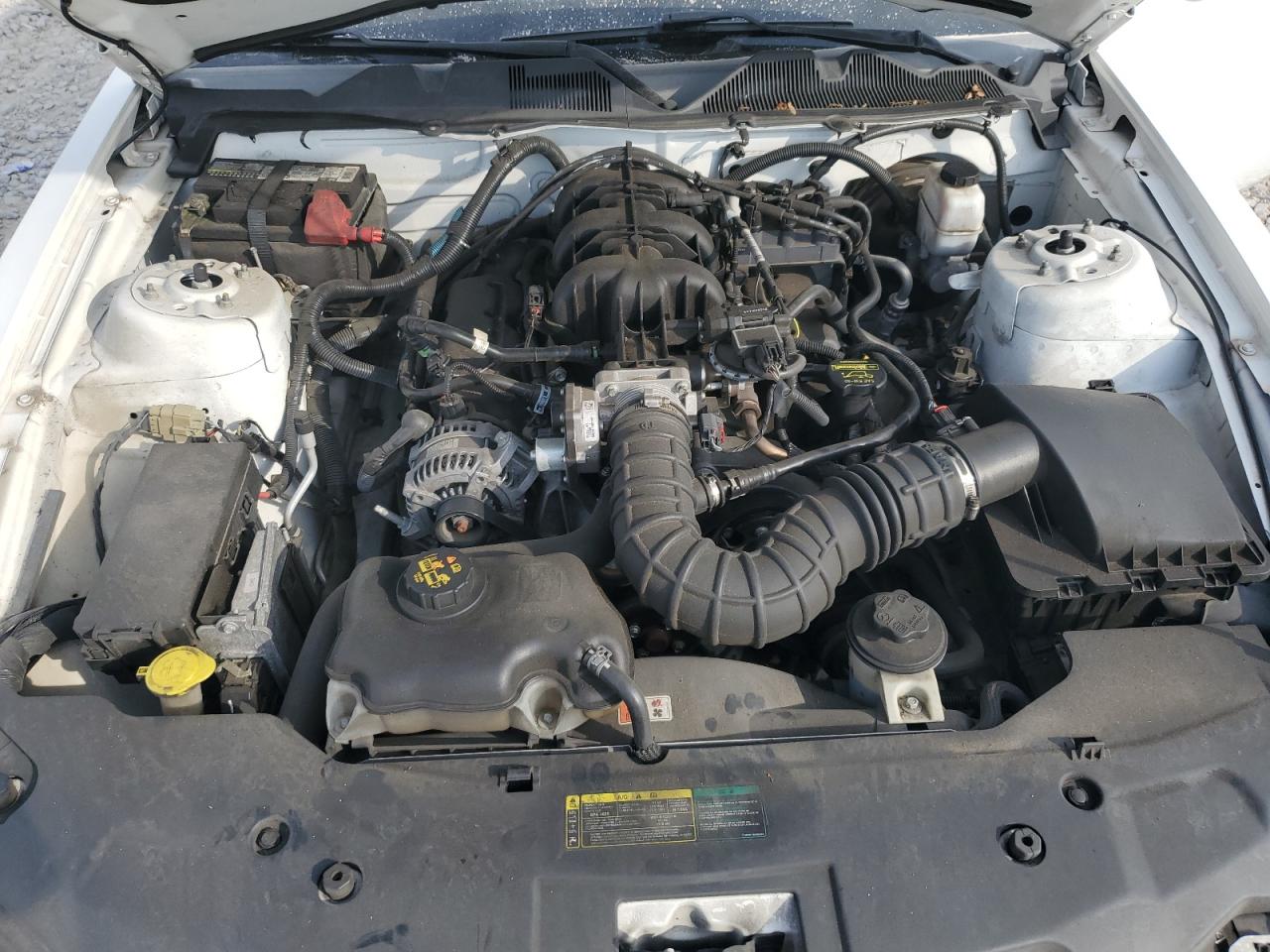 2010 Ford Mustang VIN: 1ZVBP8EN9A5178434 Lot: 69040035