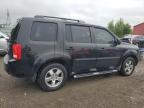 2010 HONDA PILOT EXL   à vendre chez Copart ON - LONDON