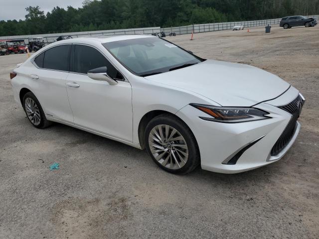  LEXUS ES300 2020 Белы