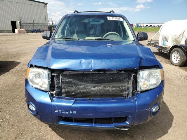 2008 FORD ESCAPE XLT  