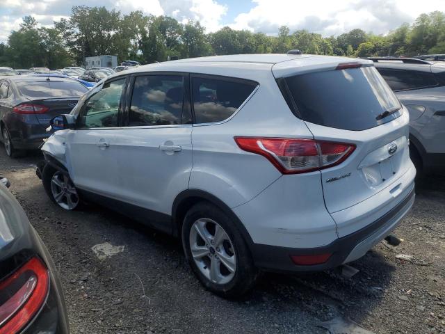  FORD ESCAPE 2016 Белы