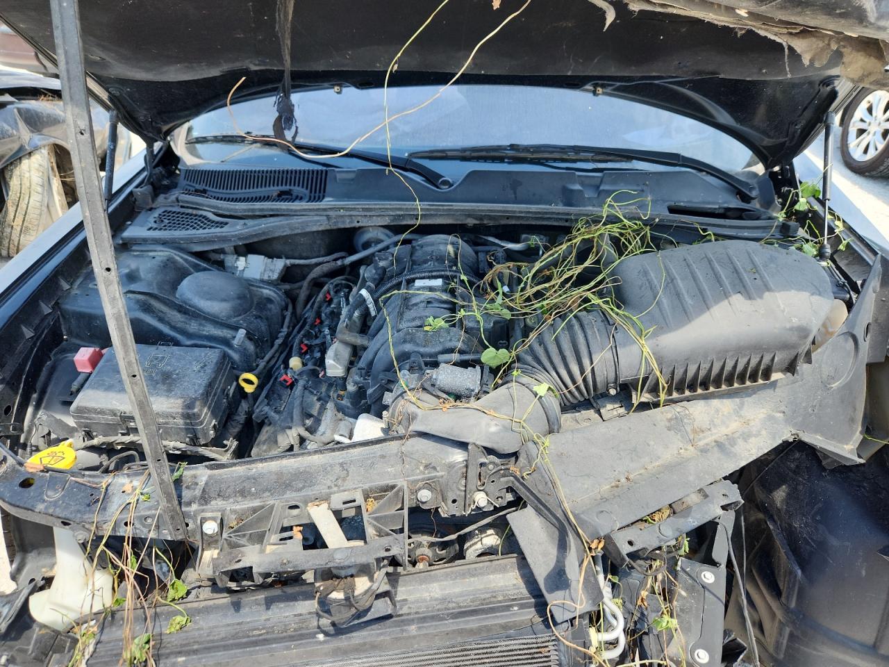 2018 Dodge Challenger R/T VIN: 2C3CDZBTXJH287524 Lot: 81629075