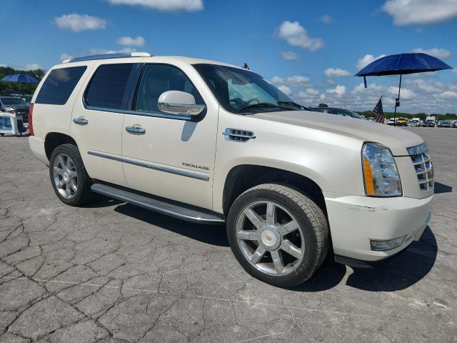 Parquets CADILLAC ESCALADE 2013 Kremowy