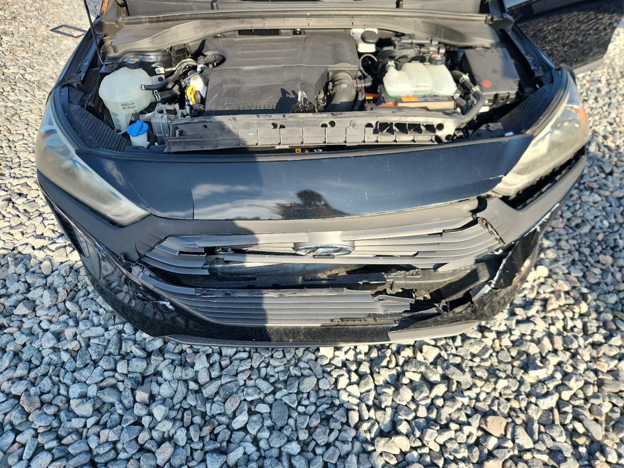 2017 Hyundai Ioniq Sel VIN: KMHC75LC1HU048084 Lot: 69009745