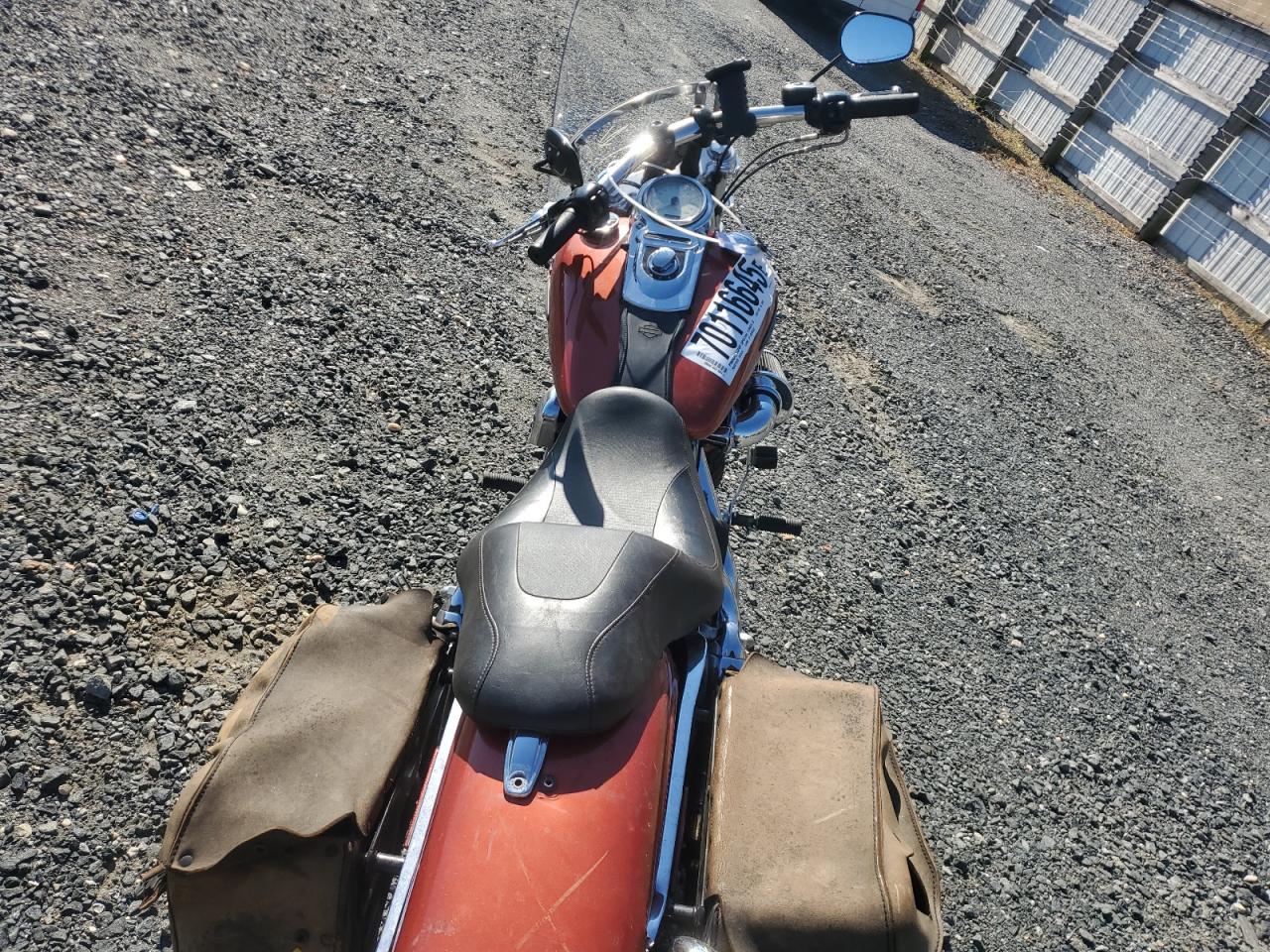 2011 Harley-Davidson Fxdf VIN: 1HD1GY411BC301572 Lot: 70116645