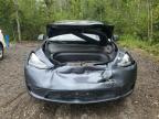 2023 TESLA MODEL Y    à vendre chez Copart ON - COOKSTOWN