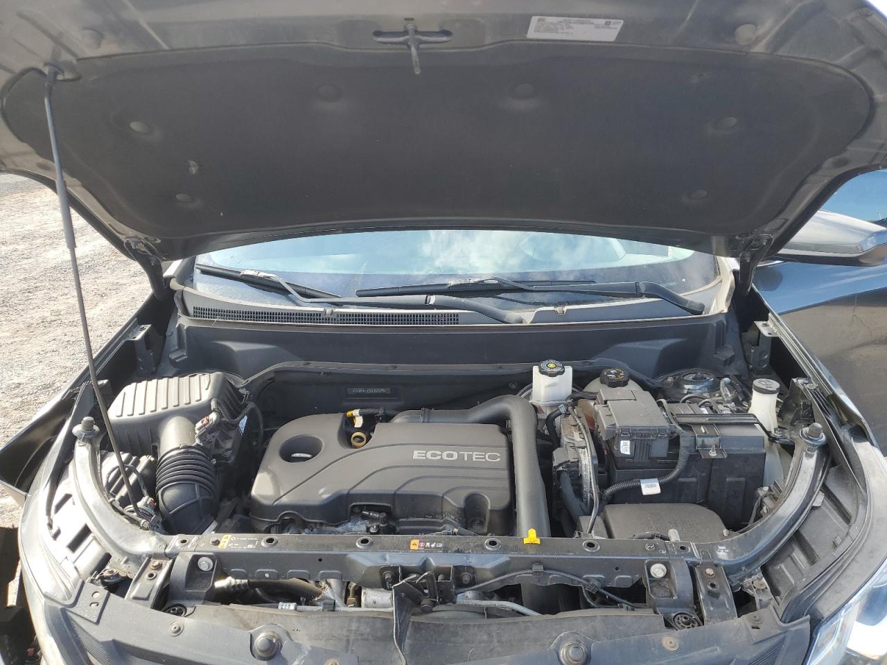 2019 Chevrolet Equinox Lt VIN: 2GNAXKEV3K6161699 Lot: 68110425