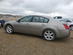 2004 NISSAN MAXIMA SE   for sale at Copart AB - EDMONTON