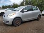 2011 TOYOTA YARIS    à vendre chez Copart ON - COOKSTOWN