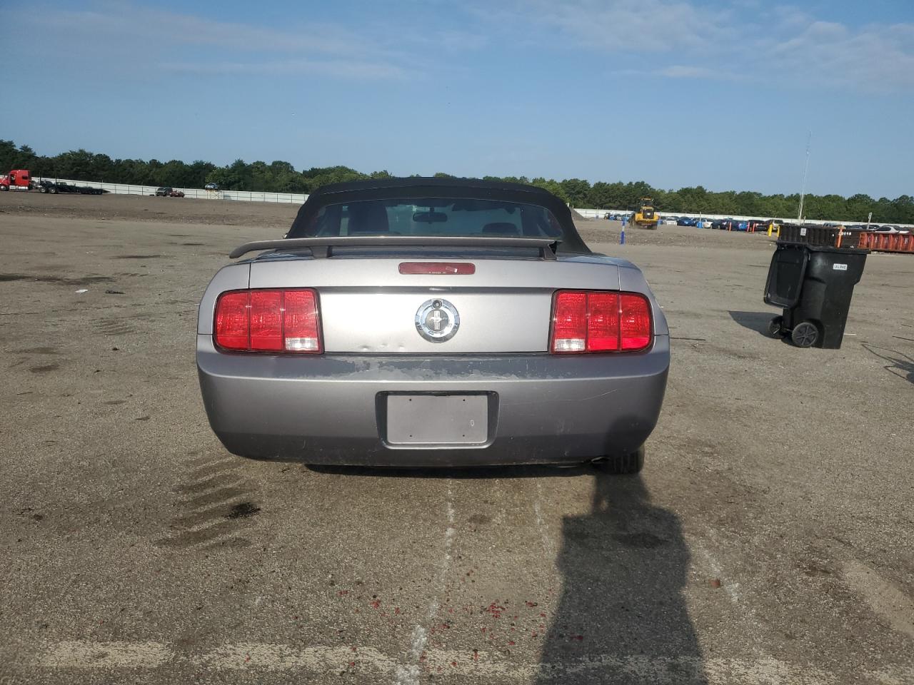 2006 Ford Mustang VIN: 1ZVFT84N765209976 Lot: 70041745