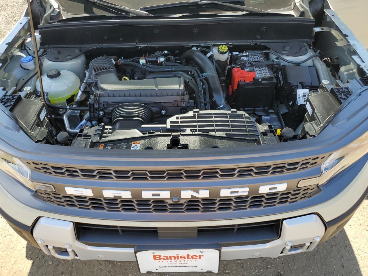 2025 Ford Bronco Sport Badlands VIN: 3FMCR9DA3SRE96842 Lot: 71145195