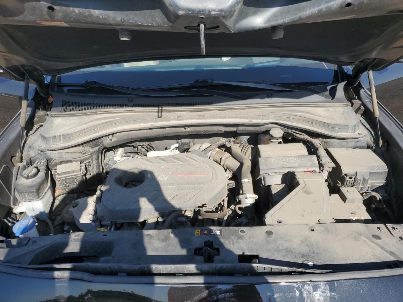 2020 Hyundai Santa Fe Limited VIN: 5NMS5CAA4LH282571 Lot: 70375095