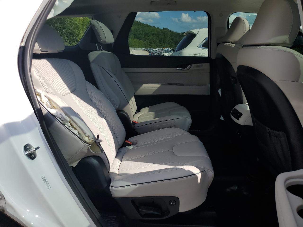 2024 Hyundai Palisade Calligraphy VIN: KM8R7DGE8RU758259 Lot: 68087365