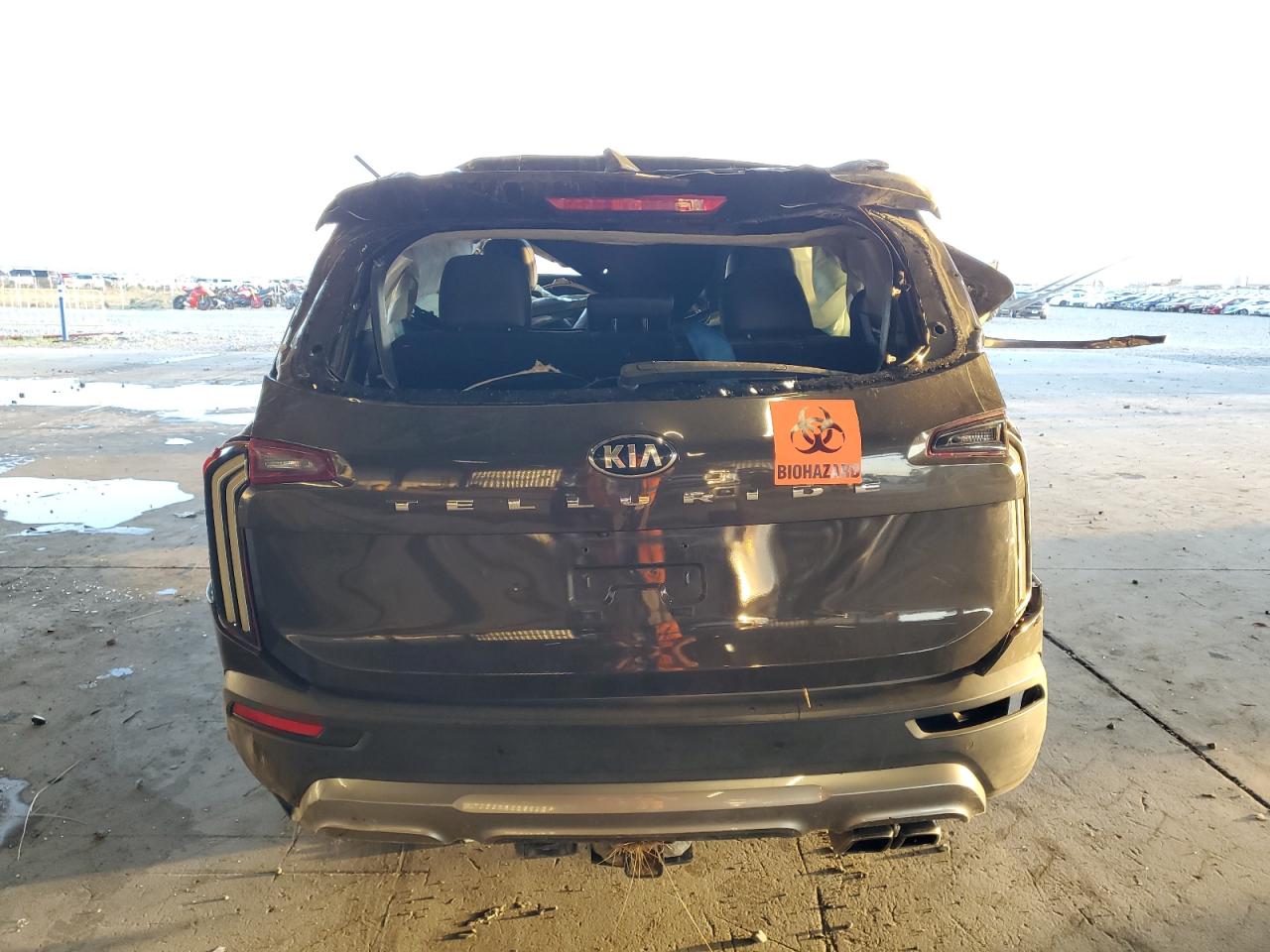 2020 Kia Telluride Sx VIN: 5XYP5DHC6LG053676 Lot: 69737175