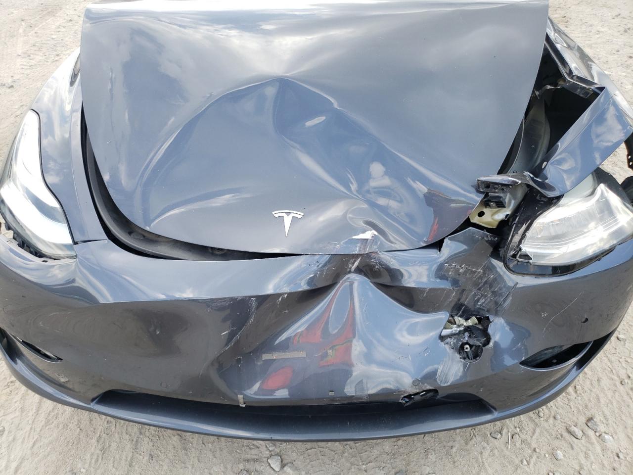 2022 Tesla Model Y VIN: 7SAYGDEE4NF434119 Lot: 66689475