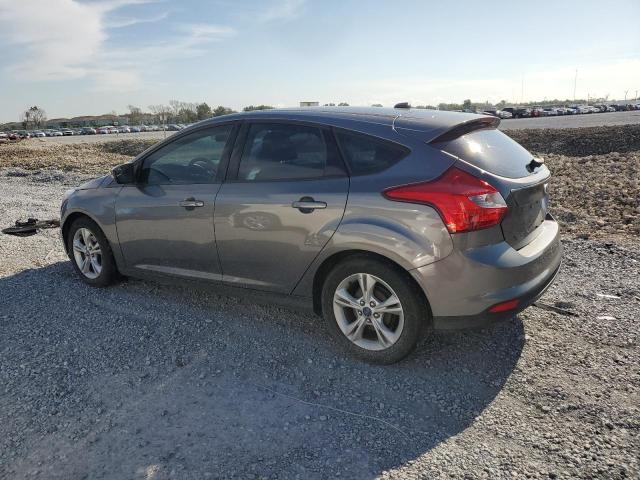 Hatchbacks FORD FOCUS 2014 Gray
