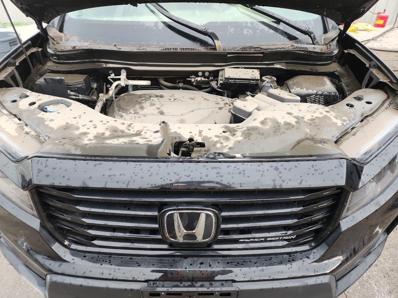 2025 Honda Passport Black Edition VIN: 5FNYF8H89SB002781 Lot: 69309495