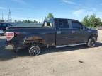 2010 FORD F150 SUPERCREW   à vendre chez Copart ON - LONDON