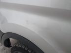 2024 FORD TRANSIT 350 LEADER ECOBLU  for sale at Copart BELFAST