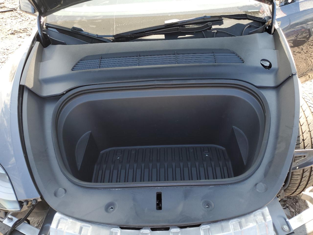 2023 Tesla Model Y VIN: 7SAYGDEE1PA192096 Lot: 69398625