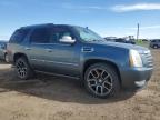 2010 CADILLAC ESCALADE HYBRID   for sale at Copart AB - CALGARY