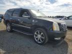 2007 CADILLAC ESCALADE LUXURY   à vendre chez Copart CA - SAN DIEGO