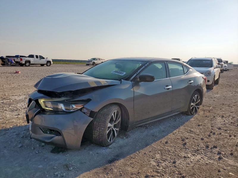 Sedans NISSAN MAXIMA 2017 Gray