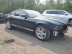 2014 FORD MUSTANG    à vendre chez Copart ON - COOKSTOWN