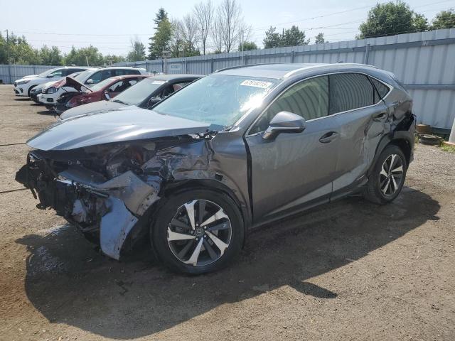 2021 LEXUS NX 300H BASE   for sale at Copart ON - TORONTO