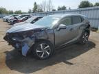 2021 LEXUS NX 300H BASE   for sale at Copart ON - TORONTO