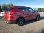 2013 HYUNDAI SANTA FE SPORT    for sale at Copart ON - COOKSTOWN