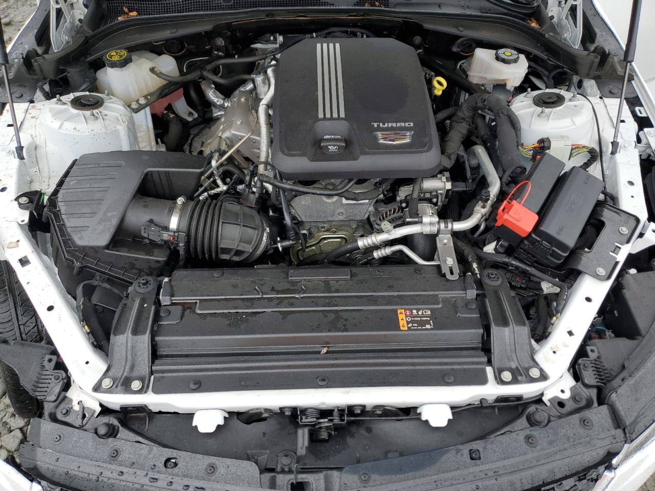 2022 Cadillac Ct4 Luxury VIN: 1G6DK5RK6N0137015 Lot: 69646135