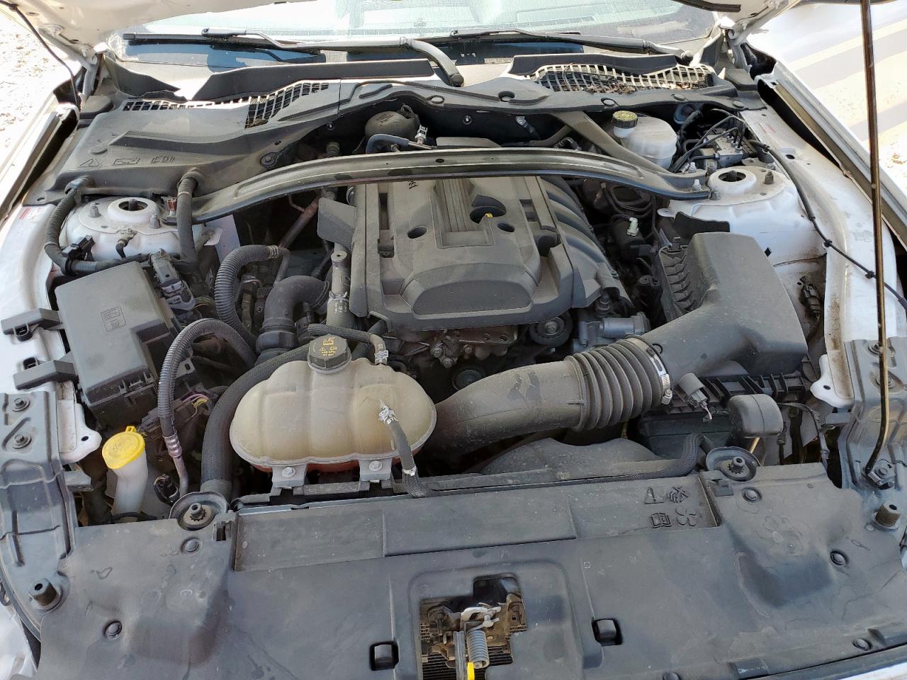 2019 Ford Mustang VIN: 1FA6P8TH9K5123202 Lot: 69576565