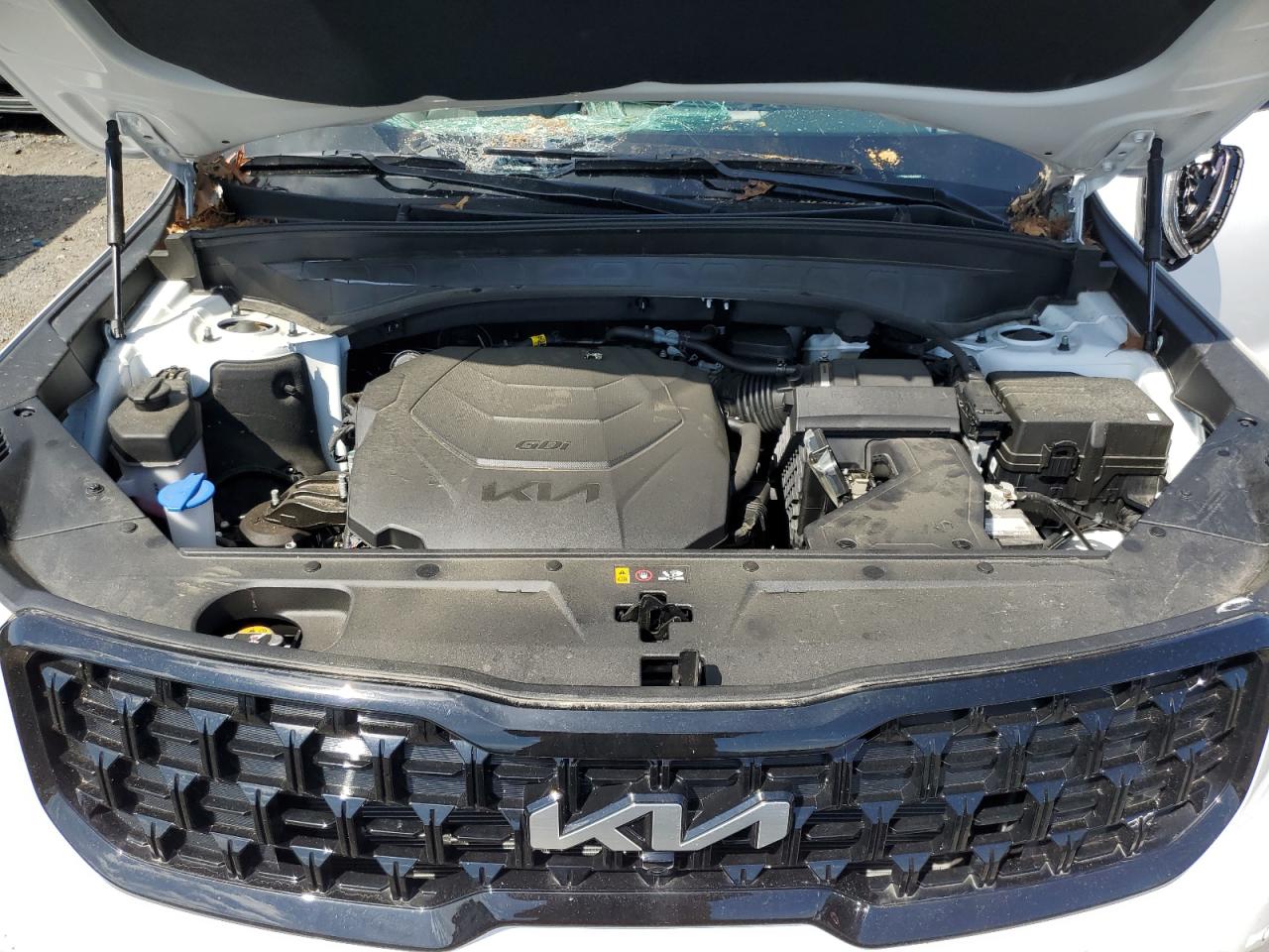 2024 Kia Telluride Sx VIN: 5XYP5DGC1RG448567 Lot: 64713225