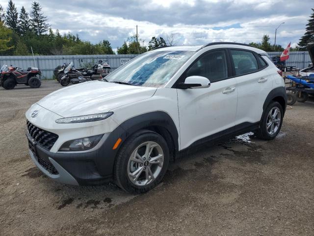 2023 HYUNDAI KONA SEL   à vendre chez Copart ON - TORONTO
