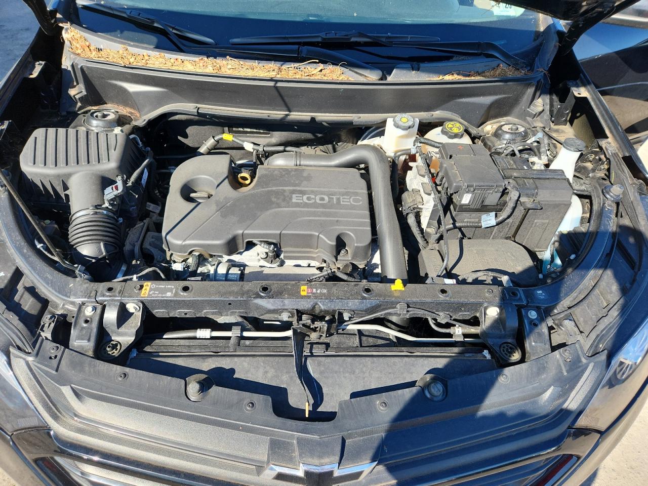 2021 Chevrolet Equinox Lt VIN: 3GNAXUEV8ML313843 Lot: 70097035