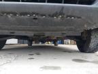 2024 FORD TRANSIT 350 LEADER ECOBLU  for sale at Copart BELFAST