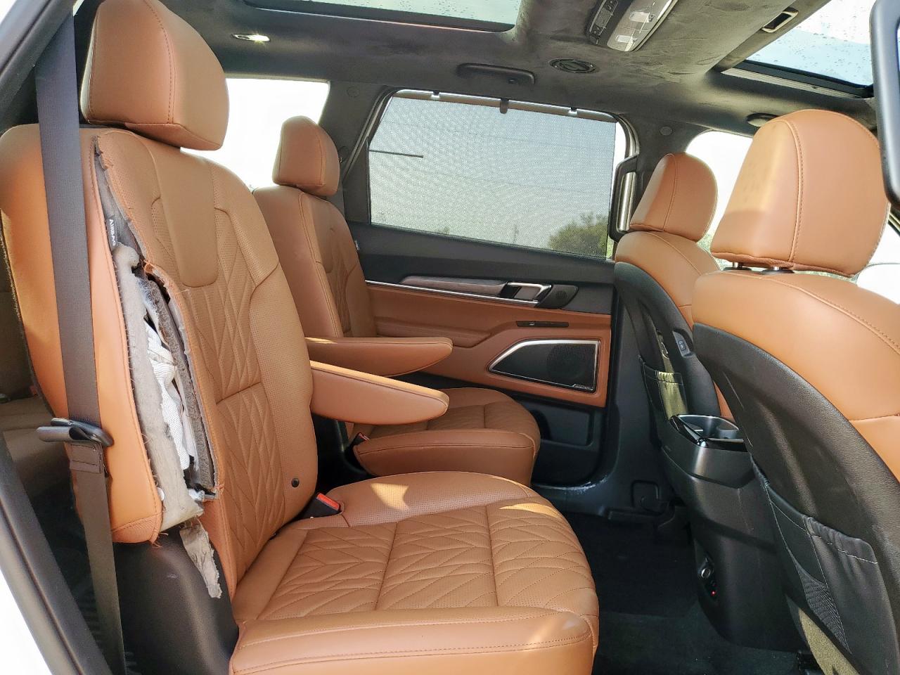 2025 Kia Telluride Sx VIN: 5XYP5DGC2SG640067 Lot: 69886835