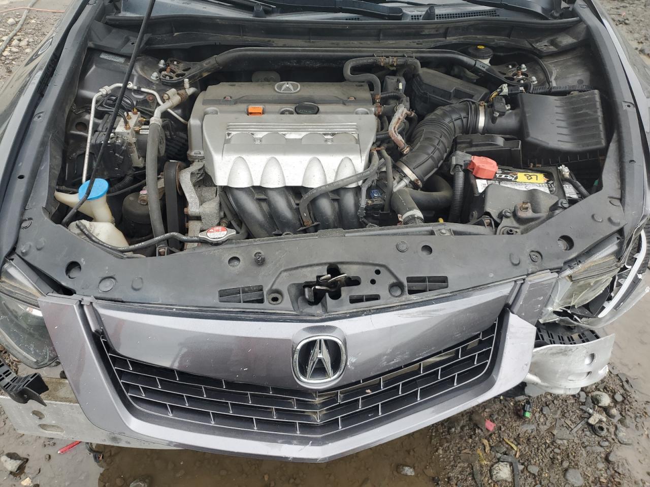 2009 Acura Tsx VIN: JH4CU26679C030261 Lot: 66931545