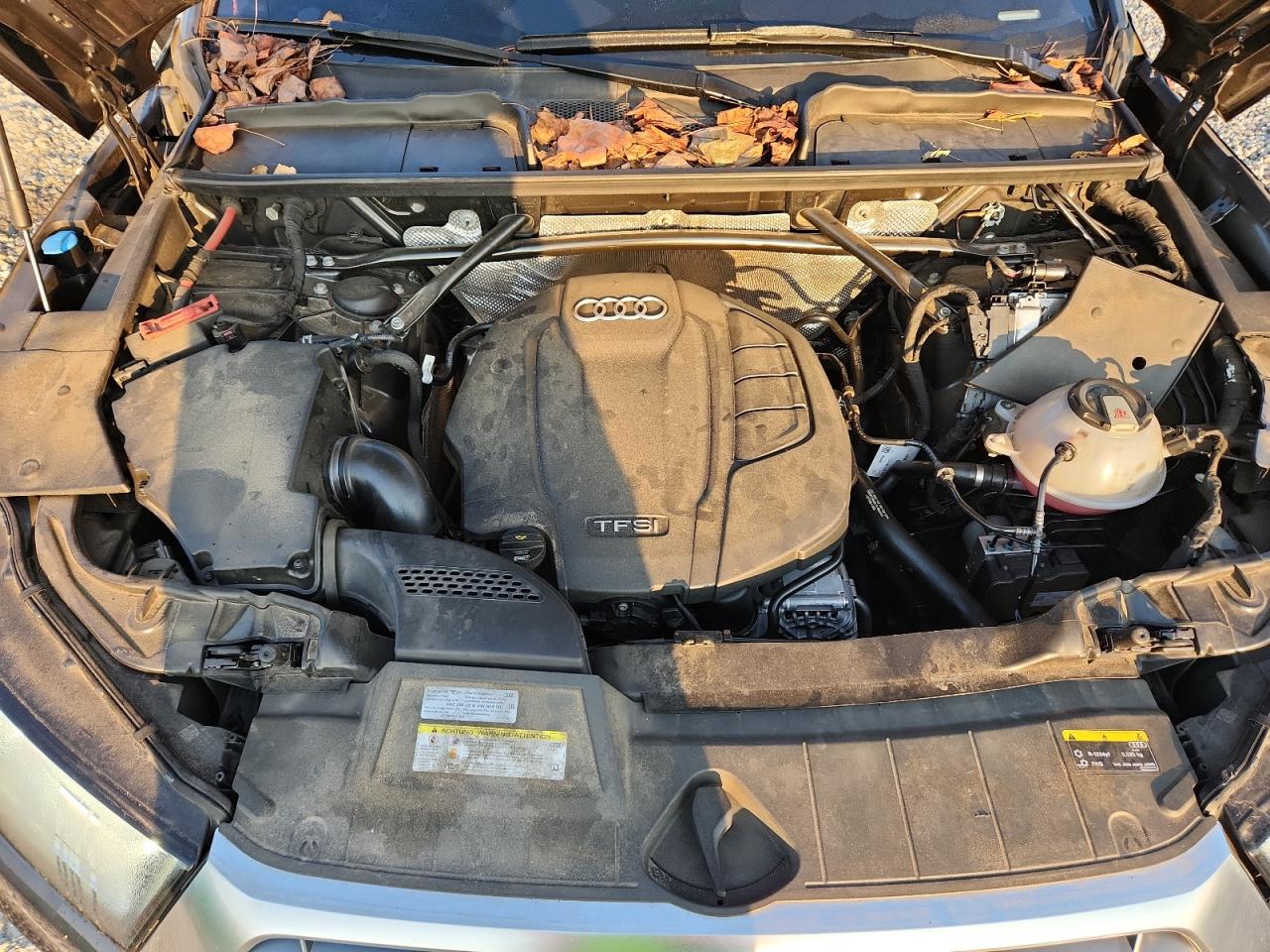 2019 Audi Q5 Premium Plus VIN: WA1BNAFY8K2117162 Lot: 69289415