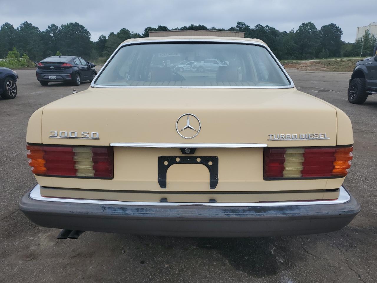 1983 Mercedes-Benz 300 Sd VIN: WDBCB20A9DB033275 Lot: 68363715