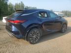 2023 LEXUS RX 350H BASE   for sale at Copart ON - COOKSTOWN