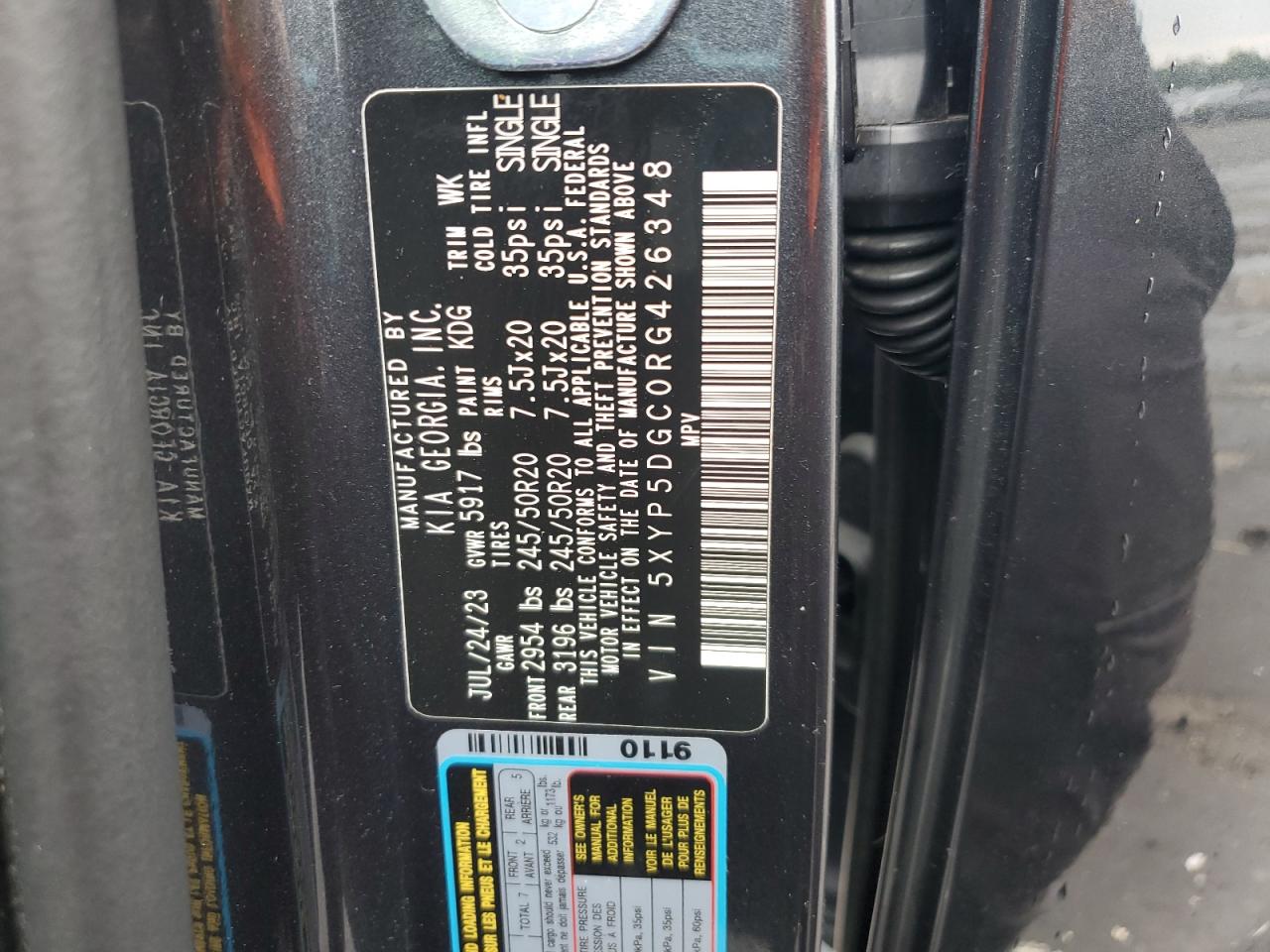 2024 Kia Telluride Sx VIN: 5XYP5DGC0RG426348 Lot: 67683305