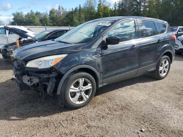 2013 FORD ESCAPE SE   à vendre chez Copart ON - COOKSTOWN