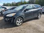 2013 FORD ESCAPE SE   à vendre chez Copart ON - COOKSTOWN