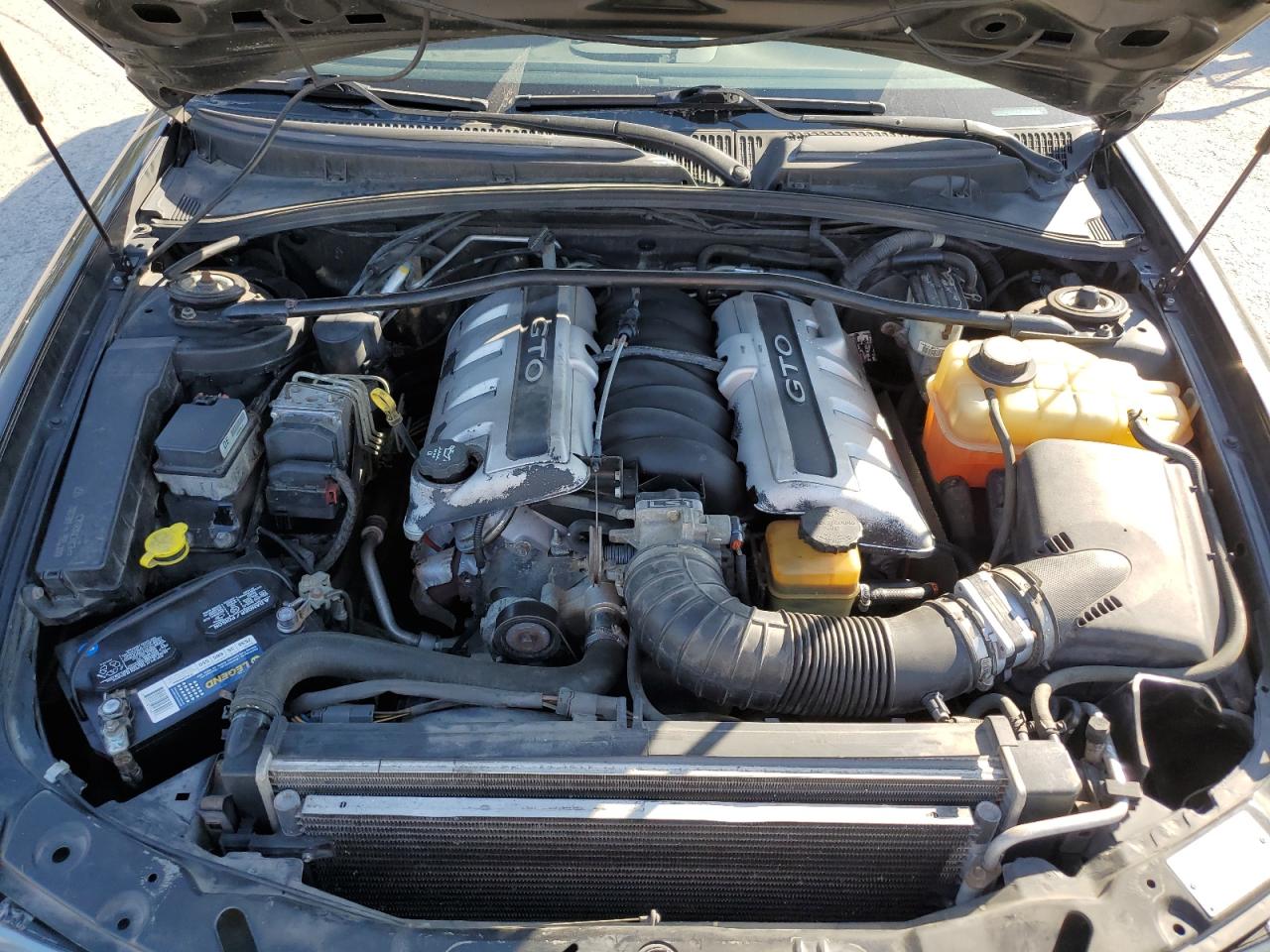 2004 Pontiac Gto VIN: 6G2VX12G04L260816 Lot: 70911975