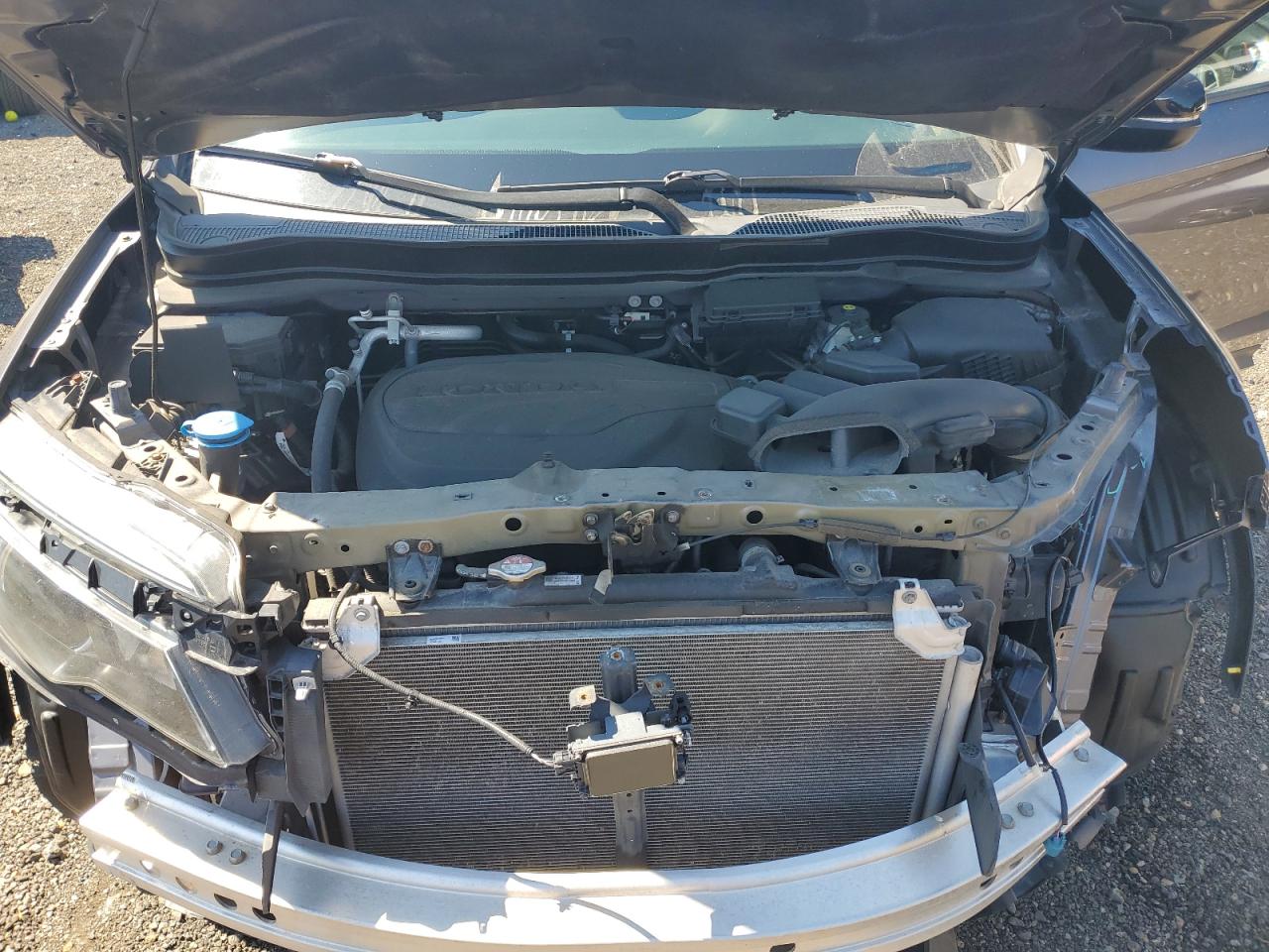 2021 Honda Passport Exl VIN: 5FNYF8H5XMB007741 Lot: 65914745