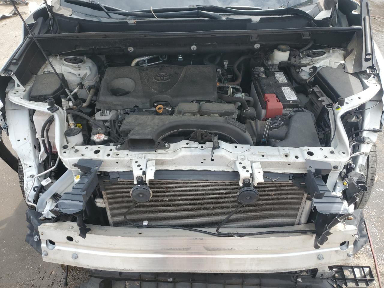 2021 Toyota Rav4 Xle VIN: 2T3W1RFV8MC162475 Lot: 68368735