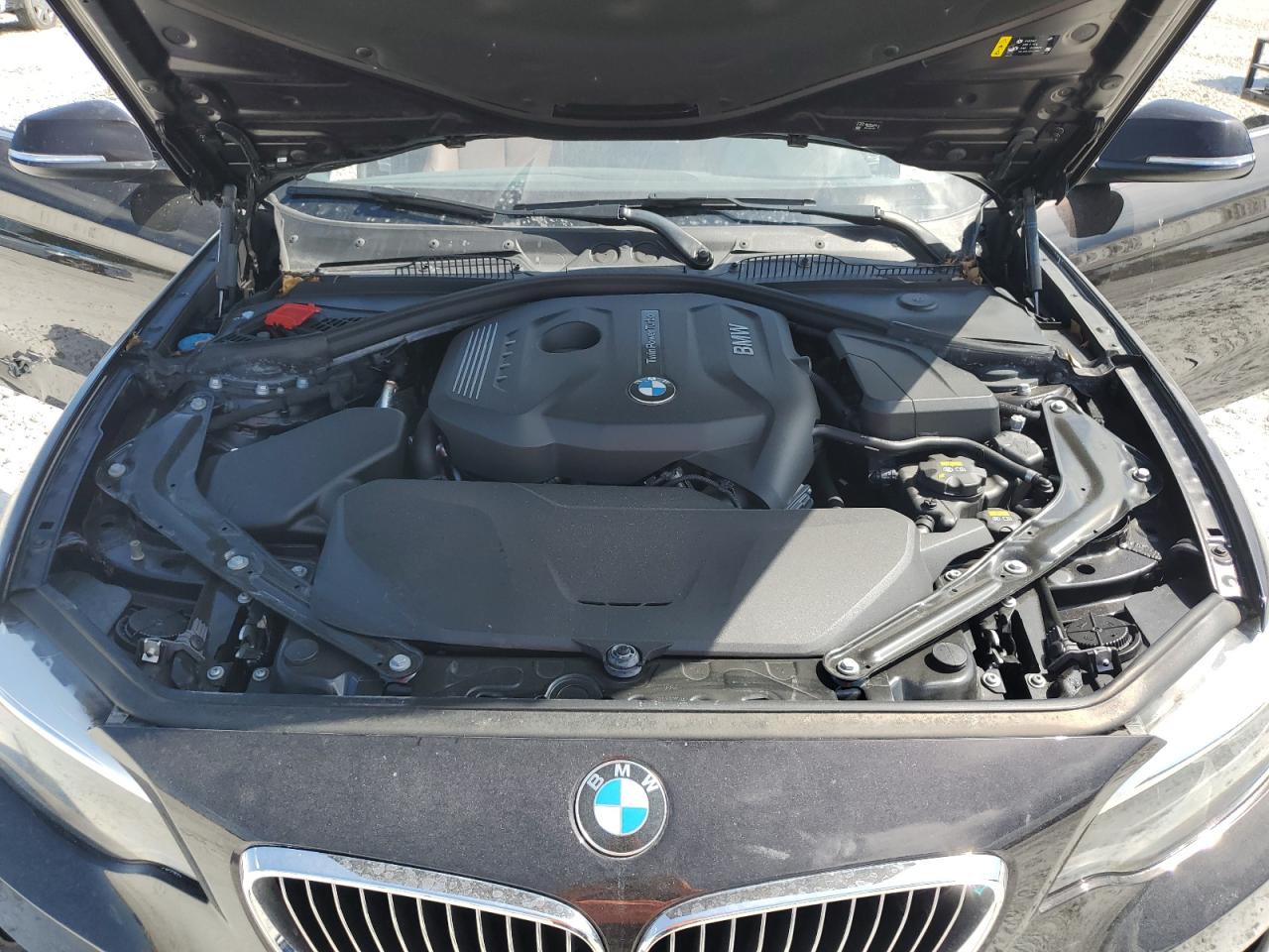 2017 BMW 230I VIN: WBA2K9C34HV647462 Lot: 69264745